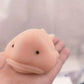 Blobfish Squeeze Toys