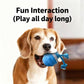 🎅Christmas Hot Sale 60% Off🎁Smart Teething Dog Ball
