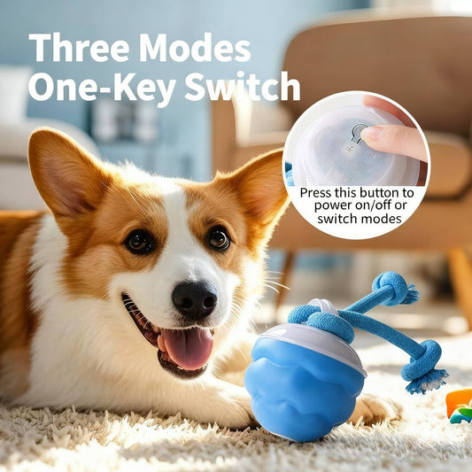 🎅Christmas Hot Sale 60% Off🎁Smart Teething Dog Ball