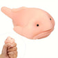 Blobfish Squeeze Toys