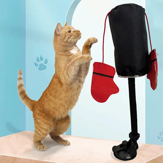 ⏳Limited Time 50% Off💥Interactive Cat Punching Bag Toy