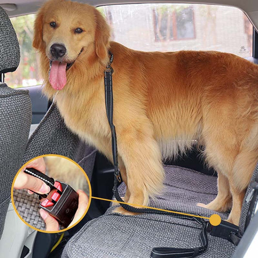 Dog Safety Leashes with Reflective Strips