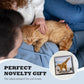 2026 Funny Cat Wall Calendar